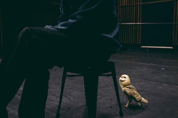 © Francesca Todde - Image from the Tristan_A Sensitive Education photography project