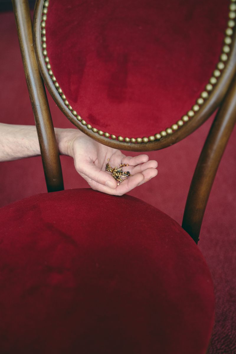 © Francesca Todde - A rehearsal session with pigeons at the Athénée Théâtre Louis-Jouvet in Paris.