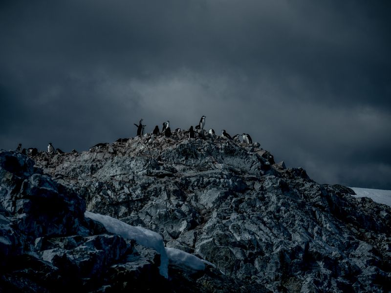 © Michaela Skovranova - Image from the Midnight Sun photography project