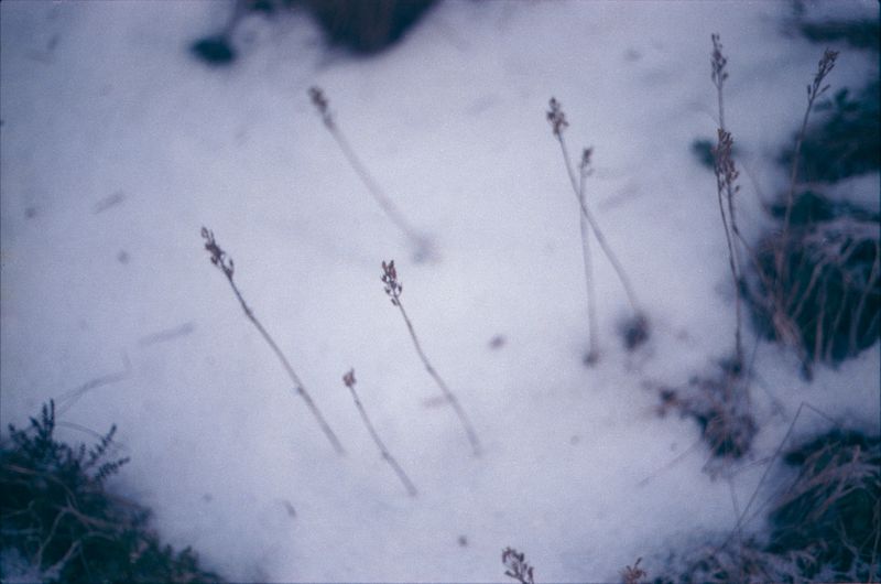 © Ines Marinho - Image from the When a ship goes by photography project
