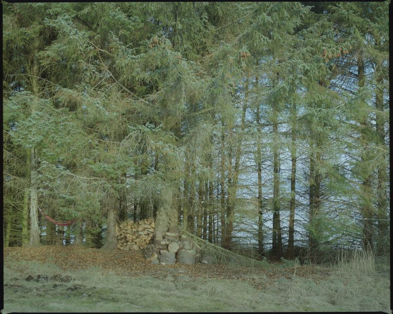 © Ines Marinho - Image from the When a ship goes by photography project