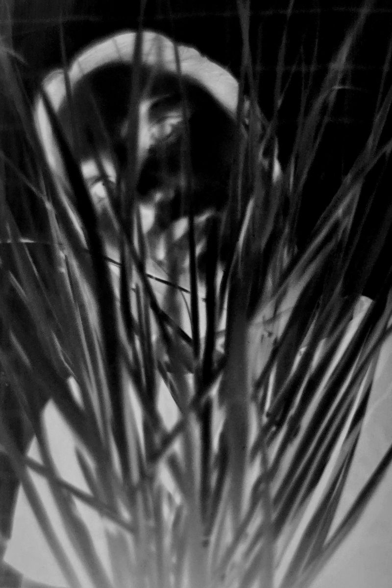 © Marija Pontet - Image from the Latent Image photography project
