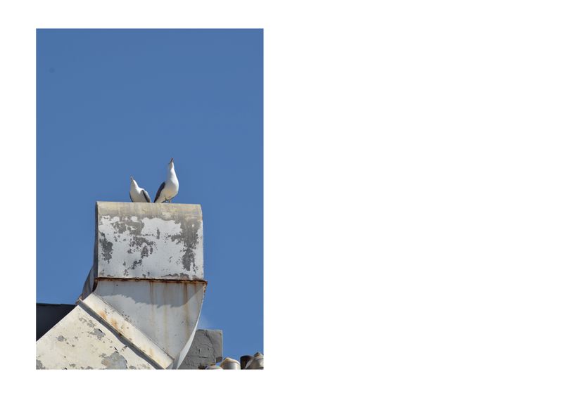 © Franka Lina Schuh - Image from the bonds photography project