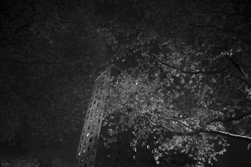 © Nicolas Enriquez - Image from the The Bloodline photography project