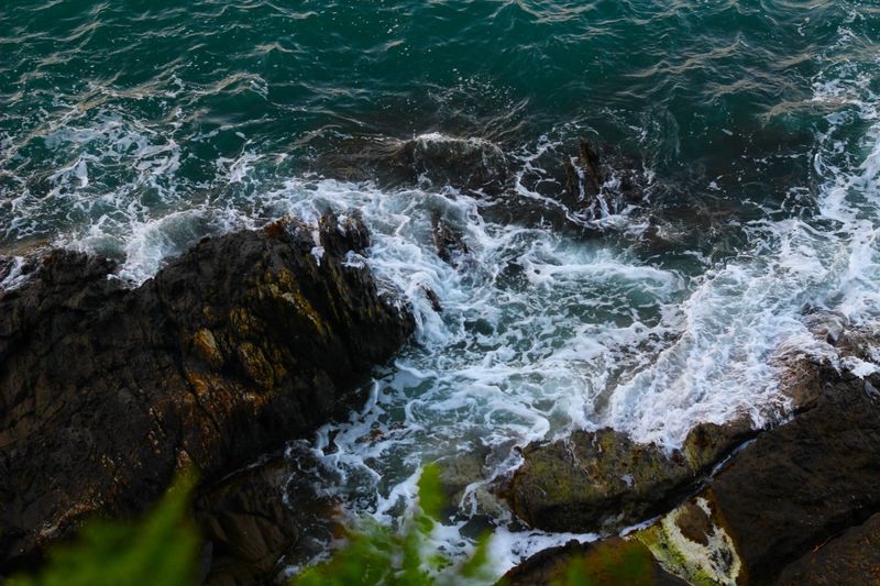 © Nadejda Zidrashko - French Summer Sea 2025