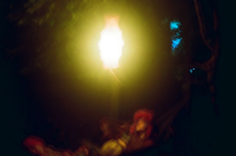© Becca Kettley - Image from the Night in the Burrow photography project