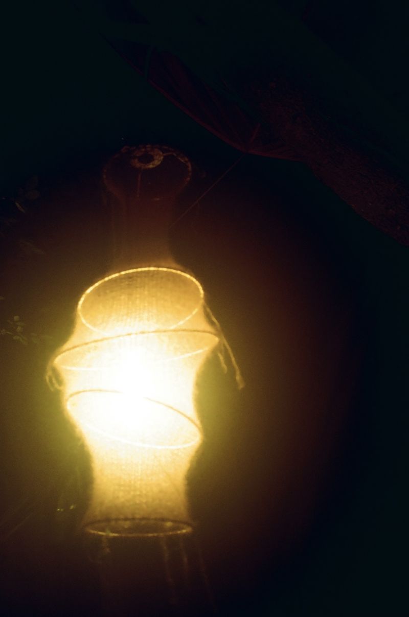 © Becca Kettley - Image from the Night in the Burrow photography project