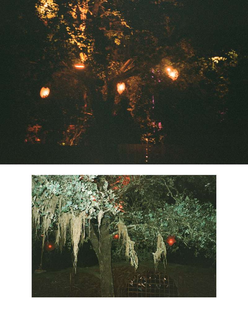 © Becca Kettley - Image from the Waking Life / 26 photography project