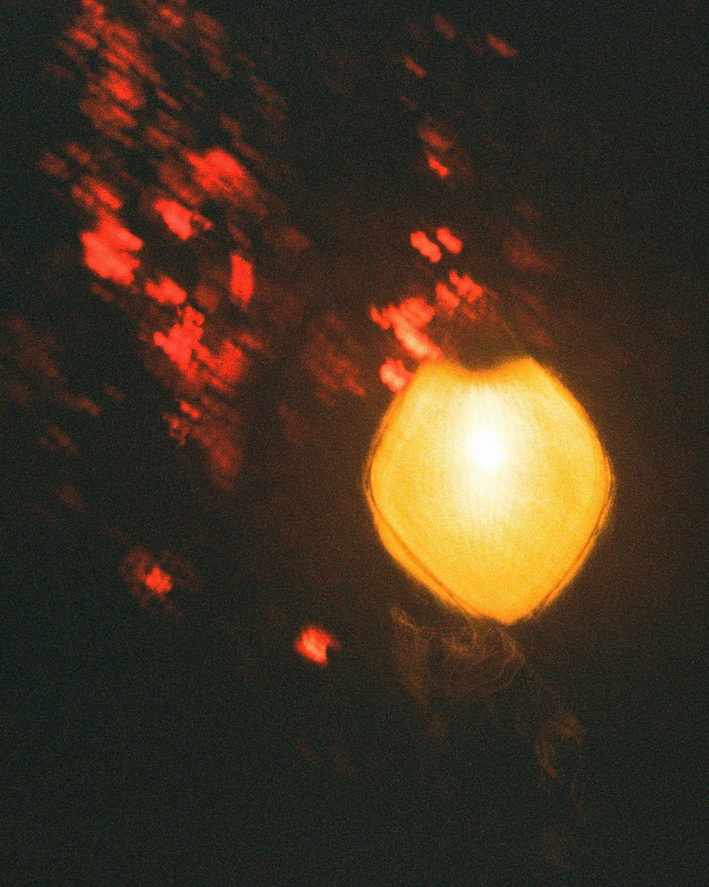 © Becca Kettley - Image from the Waking Life / 26 photography project