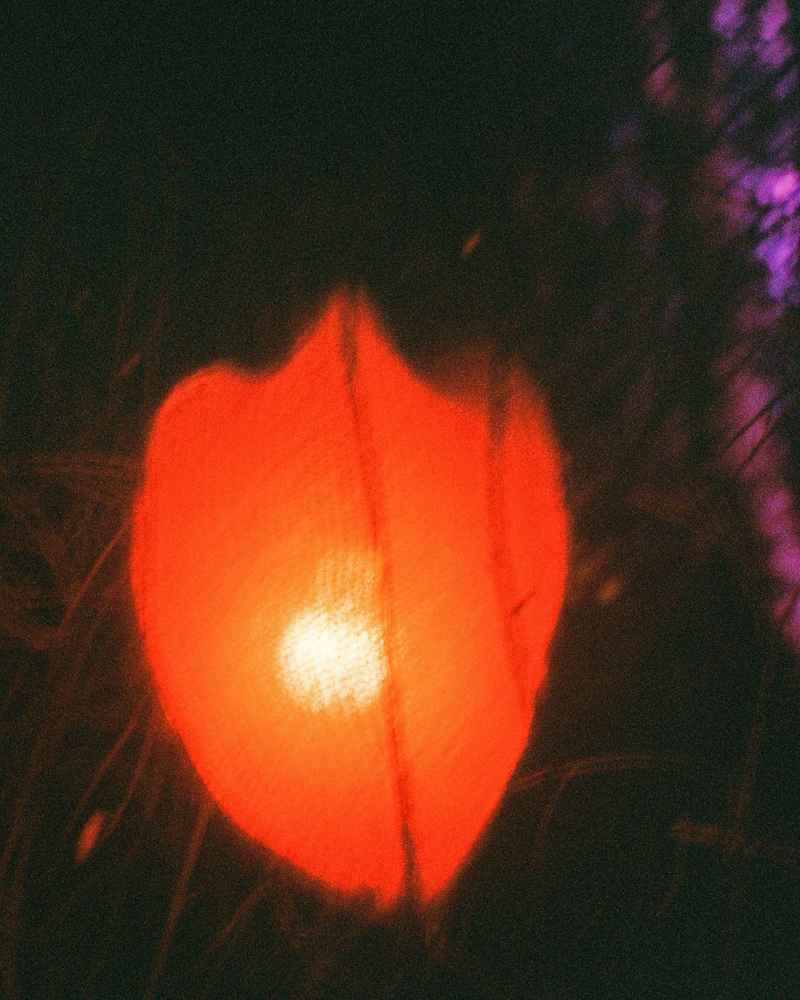 © Becca Kettley - Image from the Waking Life / 26 photography project