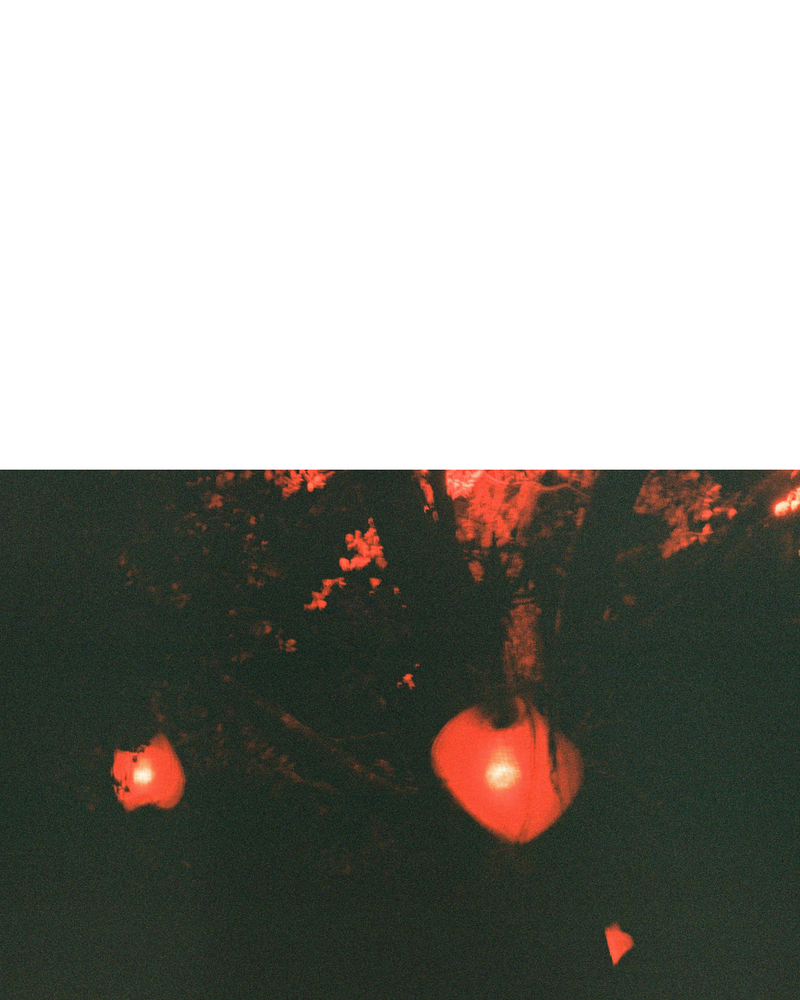 © Becca Kettley - Image from the Waking Life / 26 photography project
