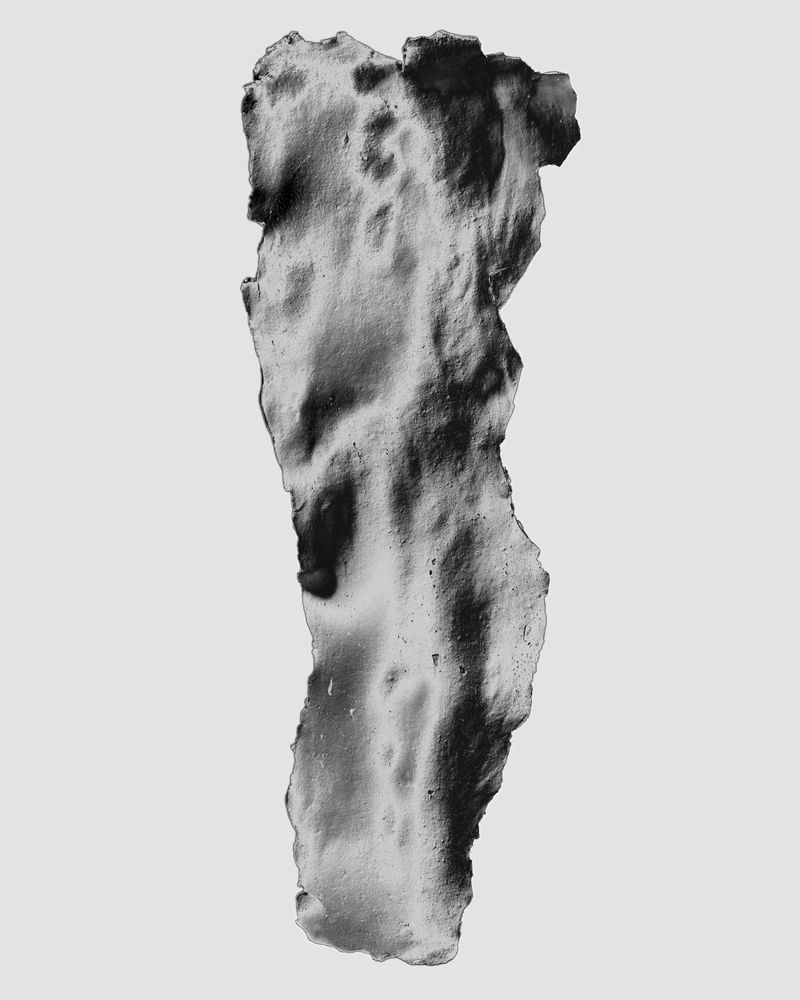 © Ben Hubert - Alginate Cast of Spine, 2024.