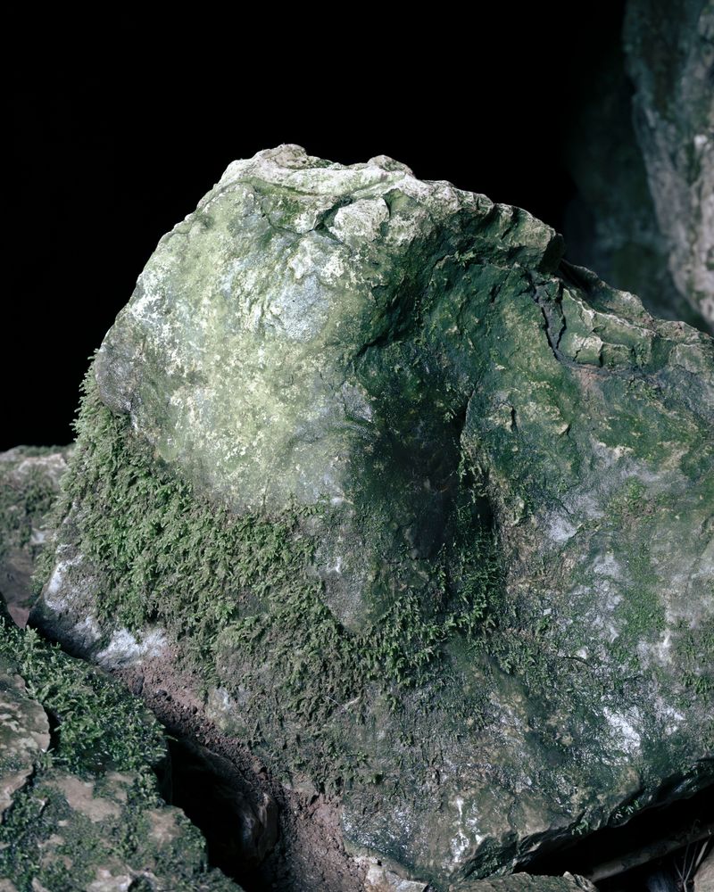 © Sofia Noce - Image from the Corpo dopo Corpo photography project