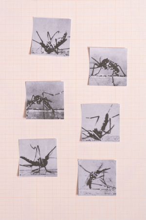 Appunti per una topografia della tensione