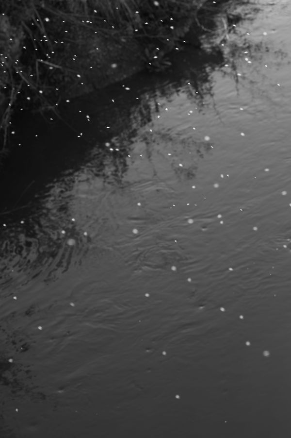 © Sofia Noce - A study on the margins