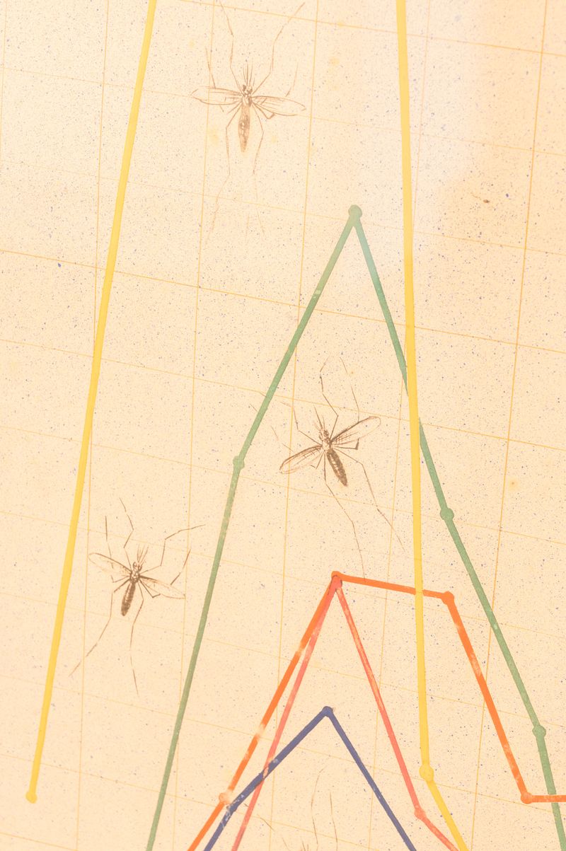 © Sofia Noce - Chart showing the progression of malaria, Museo Agro Pontino, Pontinia (LT)