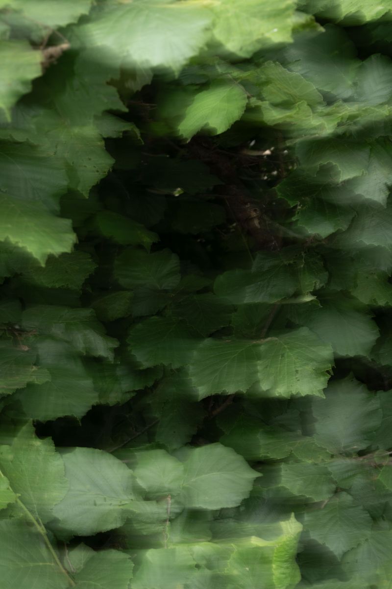 © Sofia Noce - Image from the Appunti per una topografia della tensione photography project