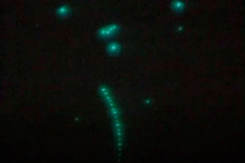 © Sofia Noce - Image from the Corpo dopo corpo photography project