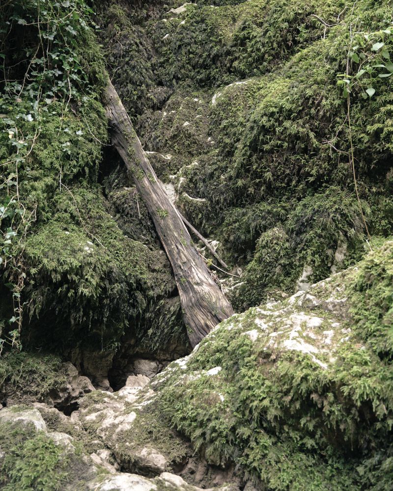 © Sofia Noce - Image from the Corpo dopo corpo photography project