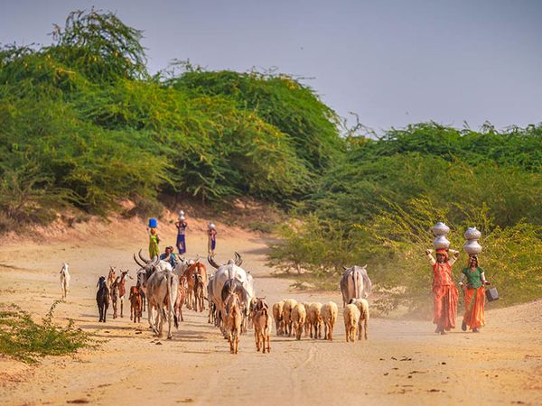 © Asmar Photography - Image from the The Silent Struggle: Water Scarcity in Nagarparkar photography project