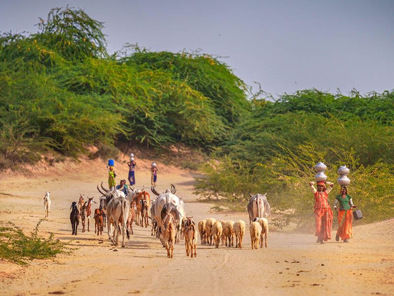 © Asmar Photography - Image from the The Silent Struggle: Water Scarcity in Nagarparkar photography project