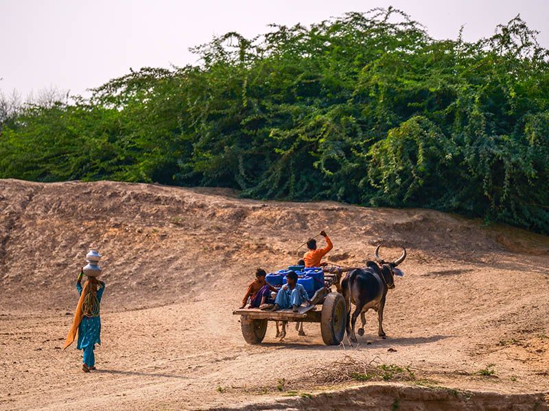 © Asmar Photography - Image from the The Silent Struggle: Water Scarcity in Nagarparkar photography project