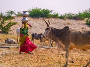 The Silent Struggle: Water Scarcity in Nagarparkar
