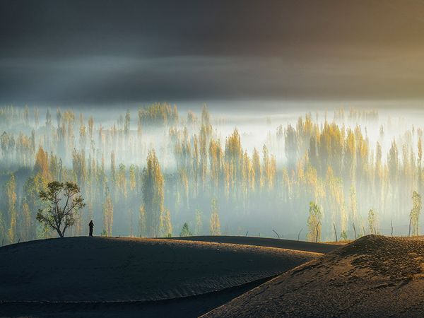 © Asmar Photography - Image from the “The Desert Cry” photography project