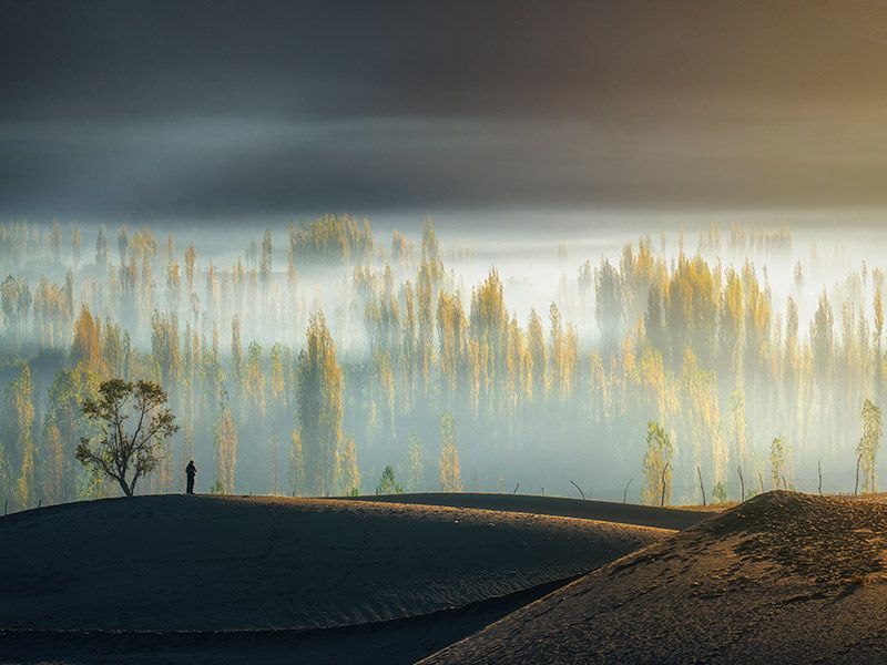 © Asmar Photography - Image from the “The Desert Cry” photography project