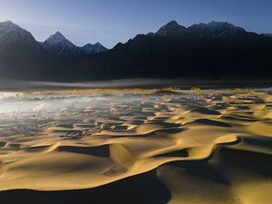 “The Desert Cry”