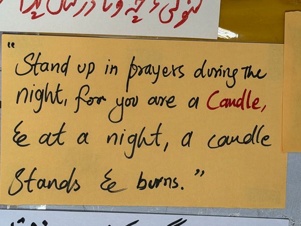 © Asmar Photography - Image from the In My Barren Land, You Are the Final Rose photography project