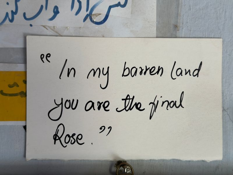 © Asmar Photography - Image from the In My Barren Land, You Are the Final Rose photography project