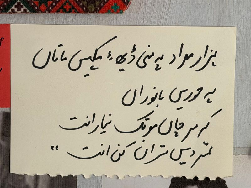 © Asmar Photography - Image from the In My Barren Land, You Are the Final Rose photography project