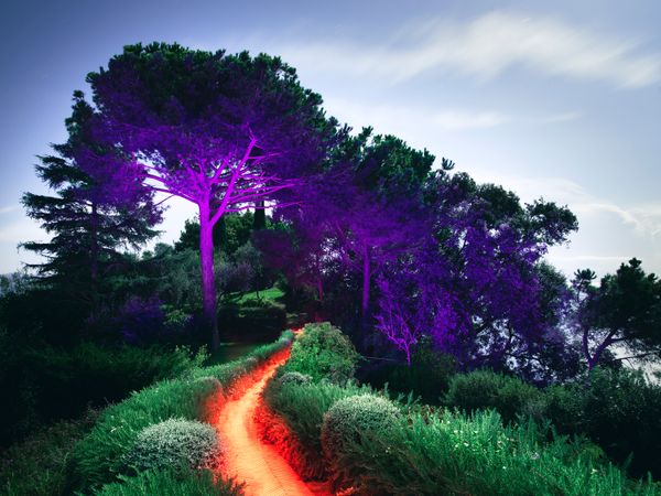 © Alejandro Chaskielberg