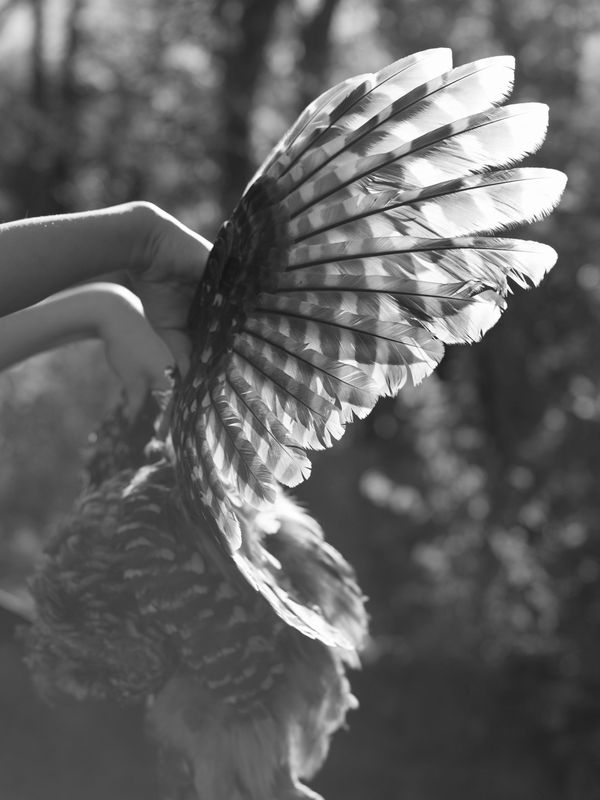 © Odette England