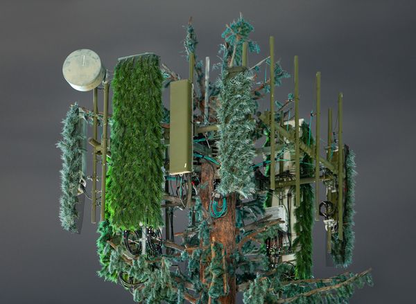 © Işık Kaya and Thomas Georg Blank