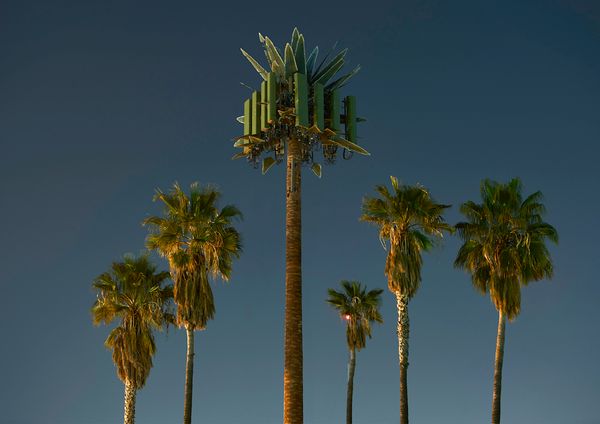 © Thomas Georg Blank