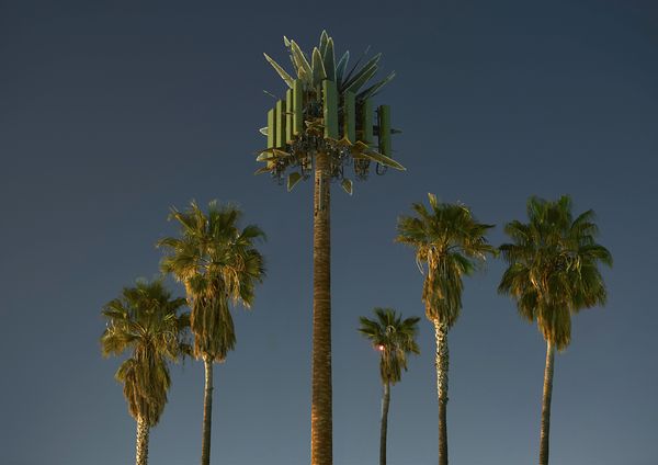© Thomas Georg Blank