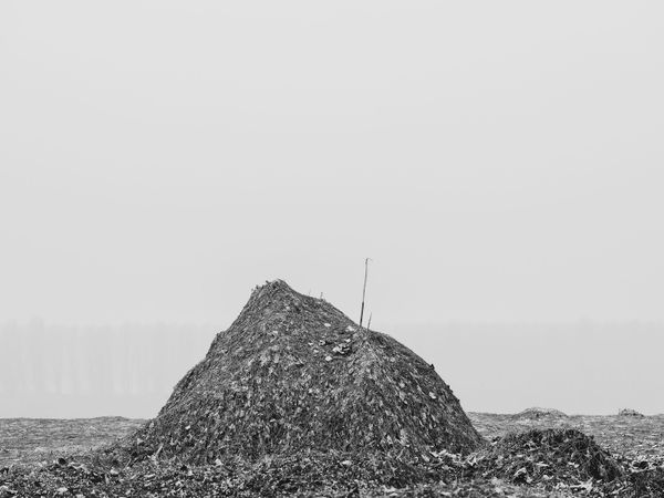 © Giulia Flavia Baczynski