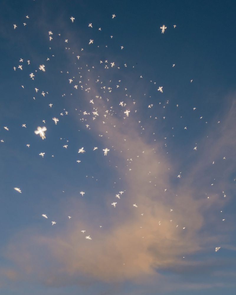 © Mirko Ostuni