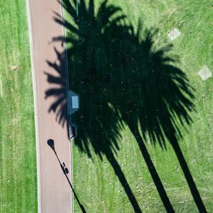 AAP Magazine – Shadows