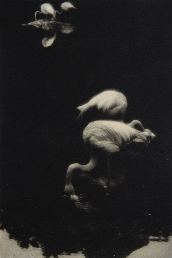 © Tomoko Nagakawa