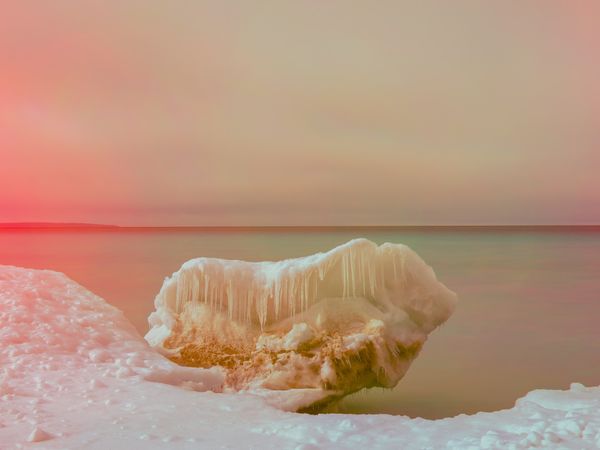 © Alon Koppel