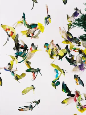 Revela’t 2026 Open Call