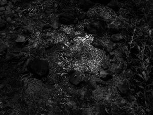 American Photographic Artists LGBTQIAP+ Photography Grant 2025