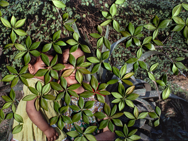 © Priya Kambli