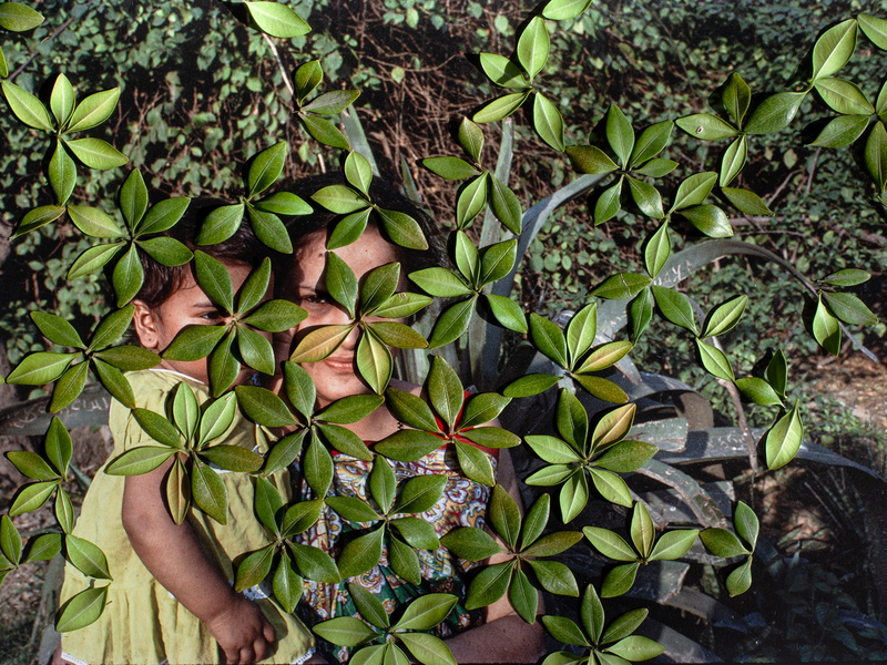 © Priya Kambli