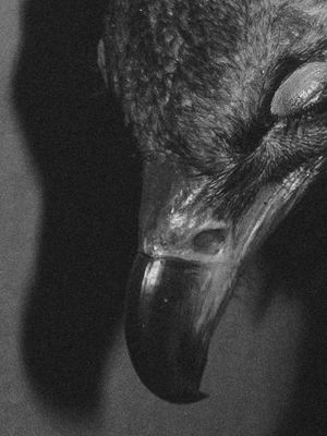 Encontros da Imagem Photobook Award 2026