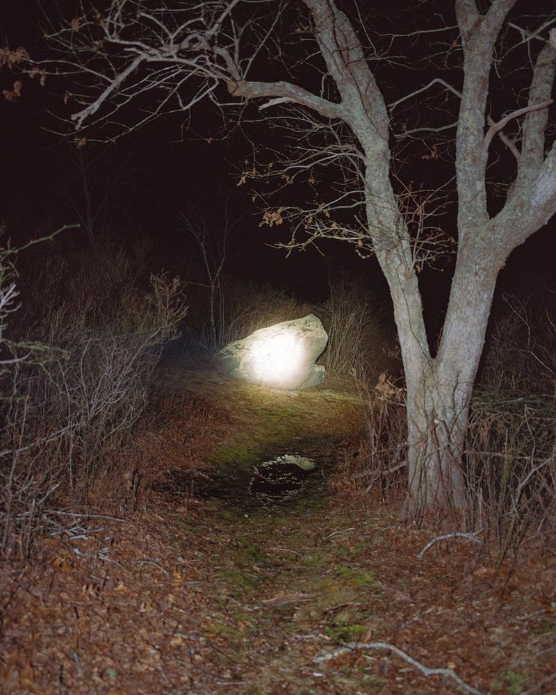 © Austin Bryant