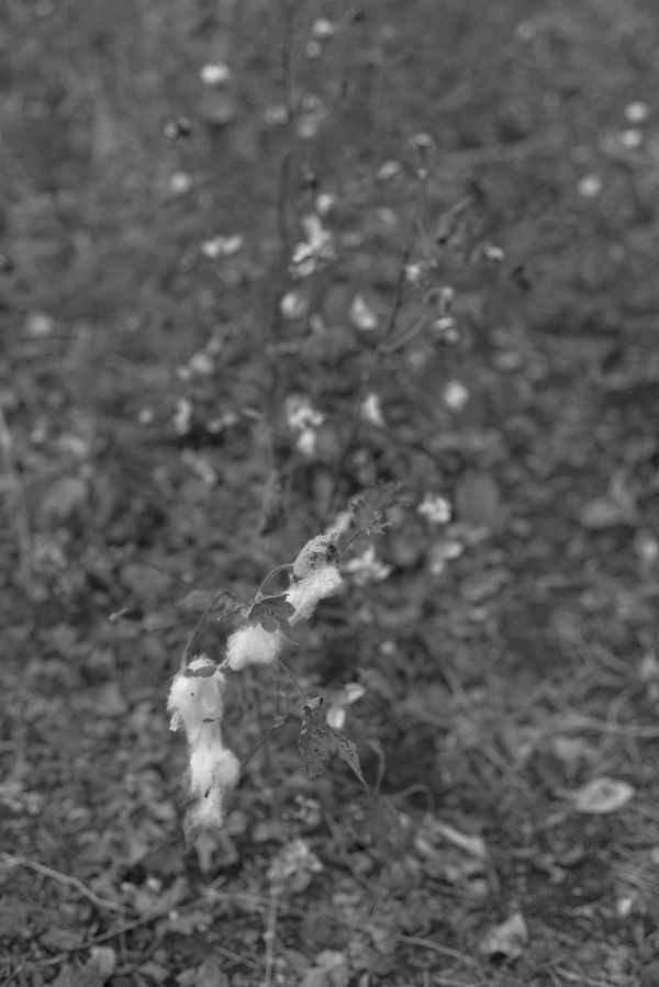 © Priyadarshini Ravichandran